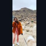 Holland Roden Instagram - Joshua Tree Puddle Jump Trip I met my match in JoJo These fools are lovely to work and play with