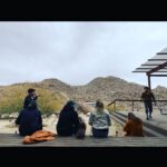 Holland Roden Instagram - Joshua Tree Puddle Jump Trip I met my match in JoJo These fools are lovely to work and play with