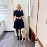 Holly Willoughby Instagram - Looks who’s back… #bailey 🎀 See you on @thismorning at 10am… #hwstyle💁🏼‍♀️✨ dress by @tedbaker 🦋