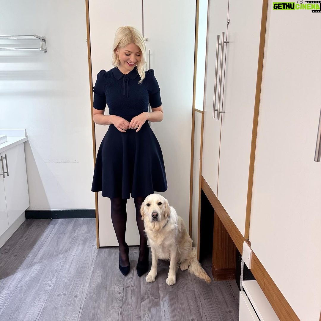 Holly Willoughby Instagram - Looks who’s back… #bailey 🎀 See you on @thismorning at 10am… #hwstyle💁🏼♀️✨ dress by @tedbaker 🦋