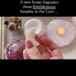 Holly Willoughby Instagram - New beautiful scent for your home… (borrowed from) A Love Story @wyldemoon #naturalwaxmelts #home #scent #adandownbrand link on stories 💘