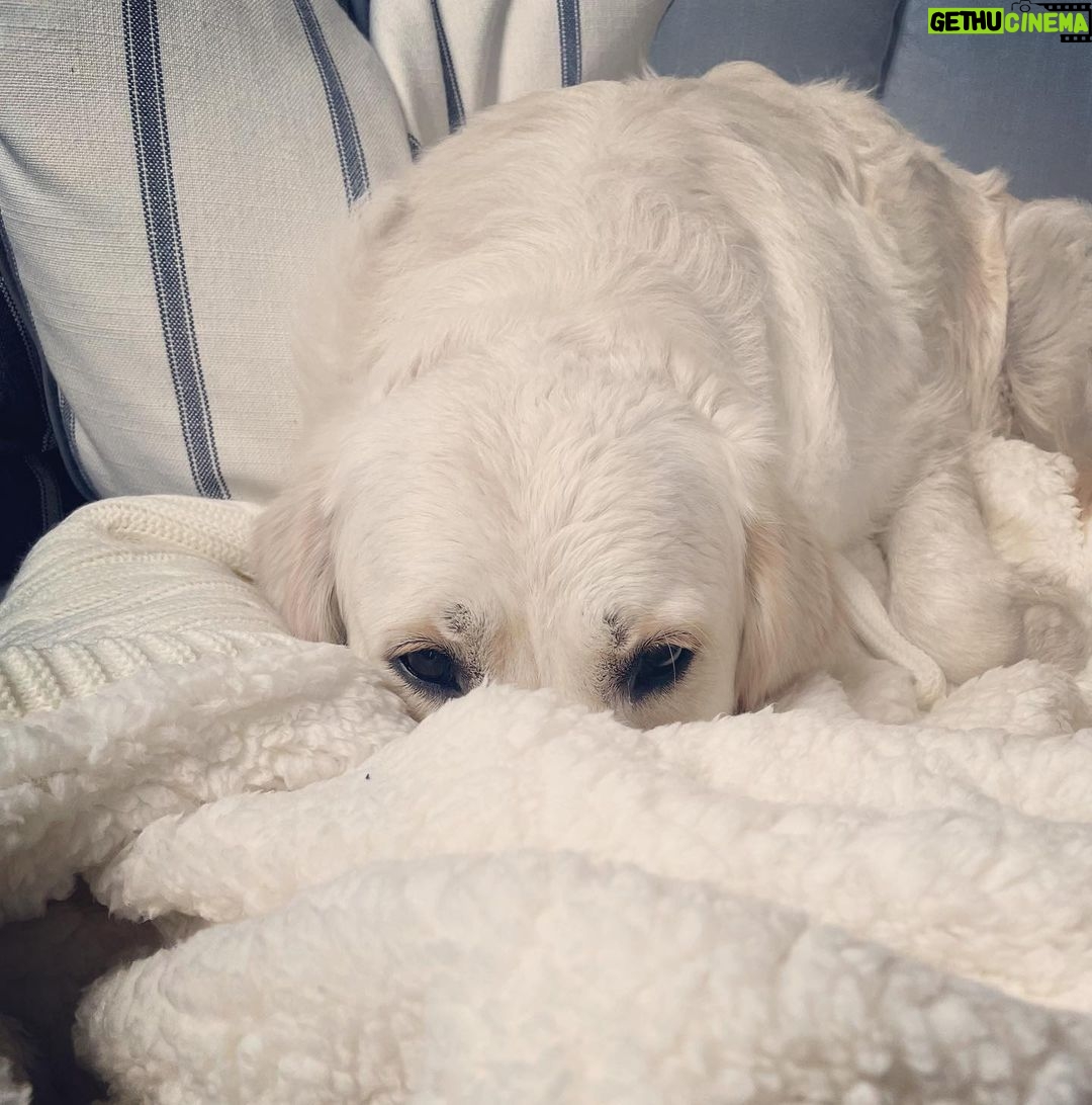 Holly Willoughby Instagram - Same… 🌧️