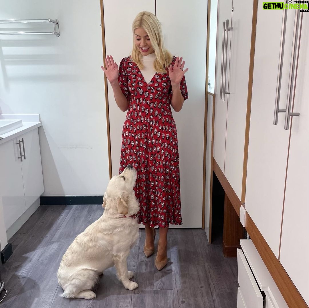 Holly Willoughby Instagram - Look who has come to play… see you on @thismorning at 10am. Lovely @rose.a.e joins us today to talk about her west end debut… #hwstyle💁🏼♀️✨ dress by @ghostfashion #bailey #takeyourdogtoworkday 🐶