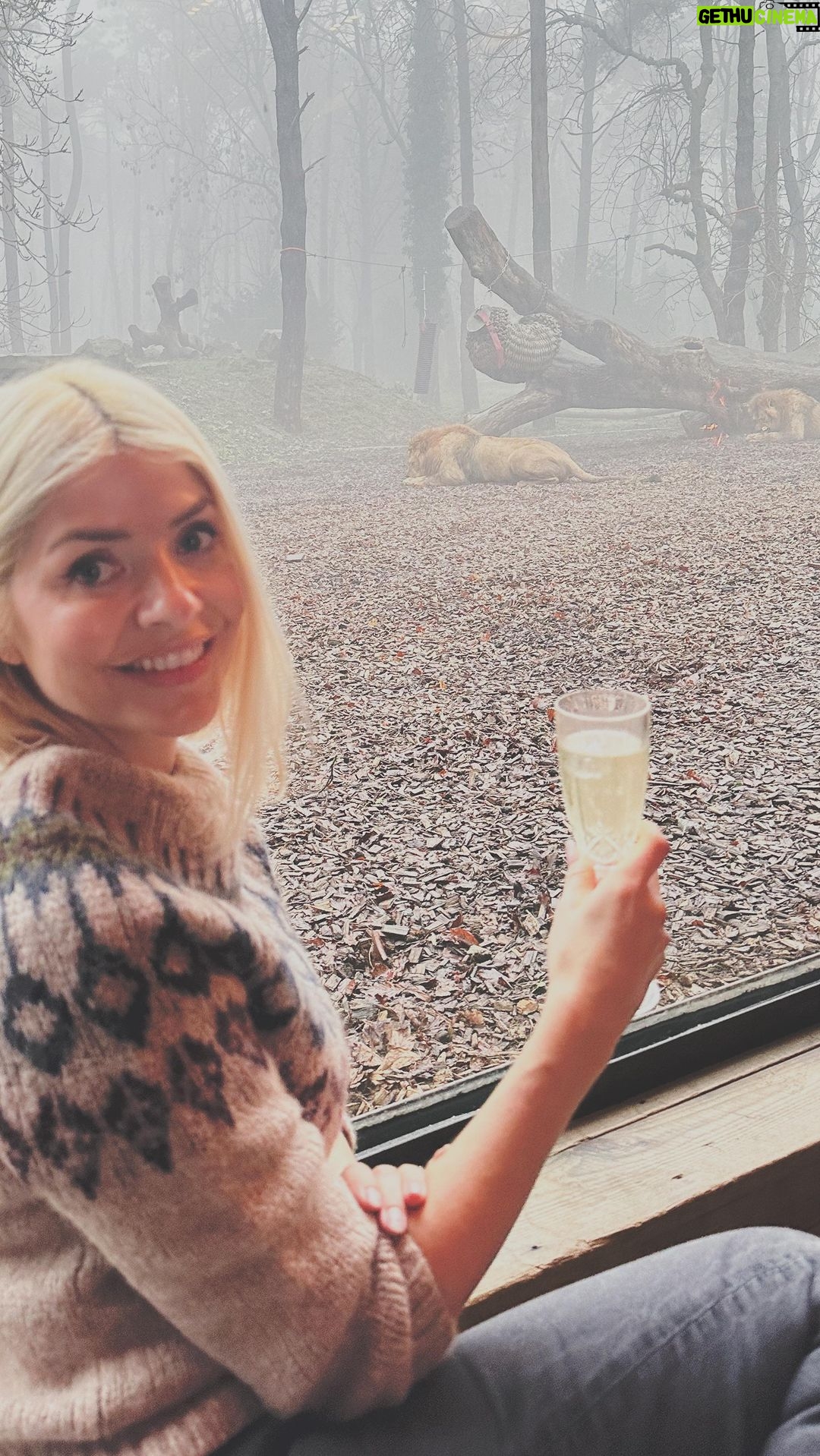 Holly Willoughby Instagram - Thank you to my family for the best birthday weekend… Lions and Lie-in’s pretty much sums it up 🦁😴 @portlympnepark #lions #sleepover #lionlodge Thank you for your birthday messages as well… super grateful 💘 Port Lympne Hotel & Reserve