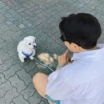 Hong Ji-hee Instagram - 사랑스러운 투샷🌿