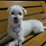 Hong Ji-hee Instagram – 자 다들 심장 부여잡아요 ♡´･ᴗ･`♡