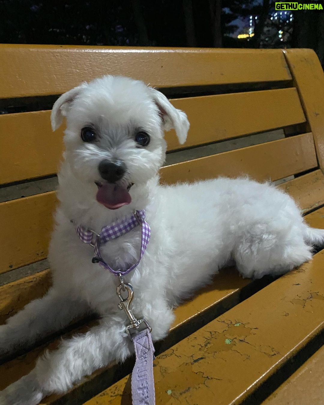 Hong Ji-hee Instagram - 자 다들 심장 부여잡아요 ♡´・ᴗ・`♡