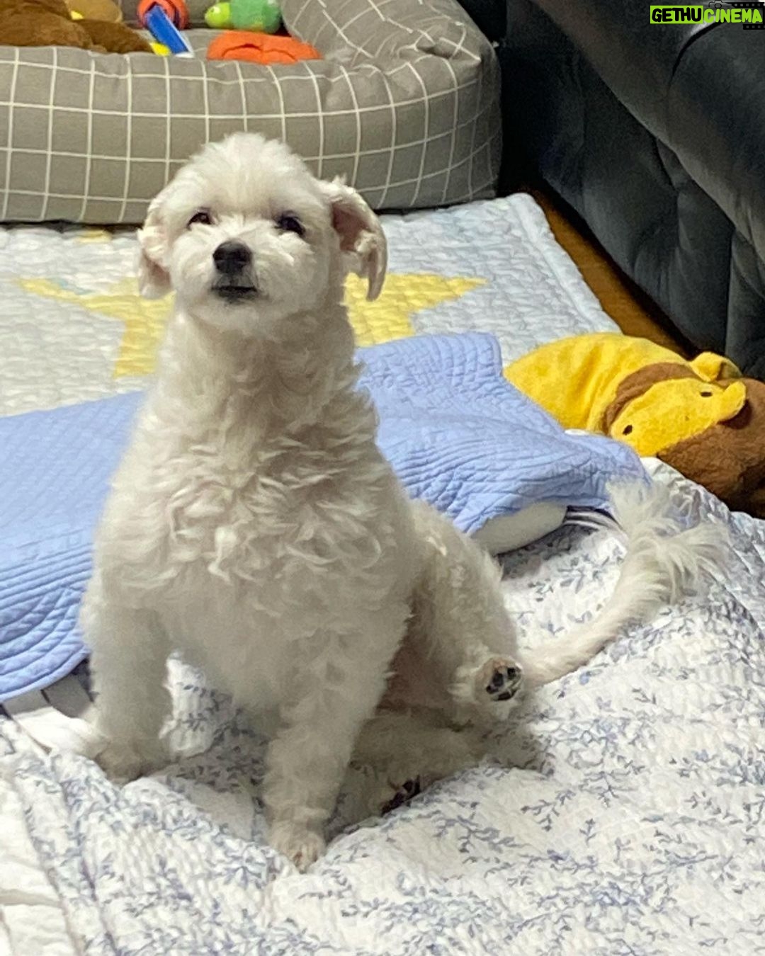 Hong Ji-hee Instagram - 자 다들 심장 부여잡아요 ♡´・ᴗ・`♡