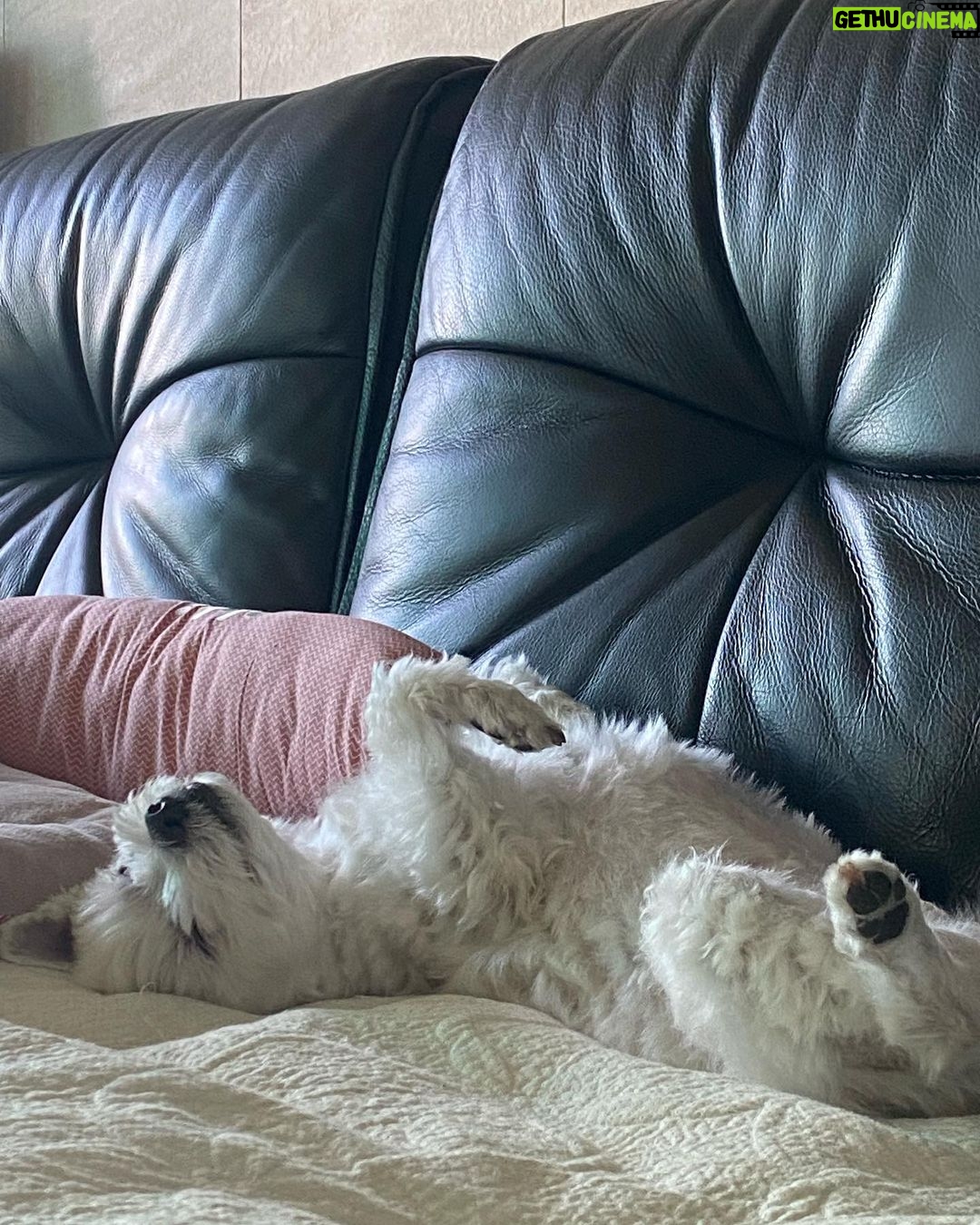 Hong Ji-hee Instagram - 자 다들 심장 부여잡아요 ♡´・ᴗ・`♡