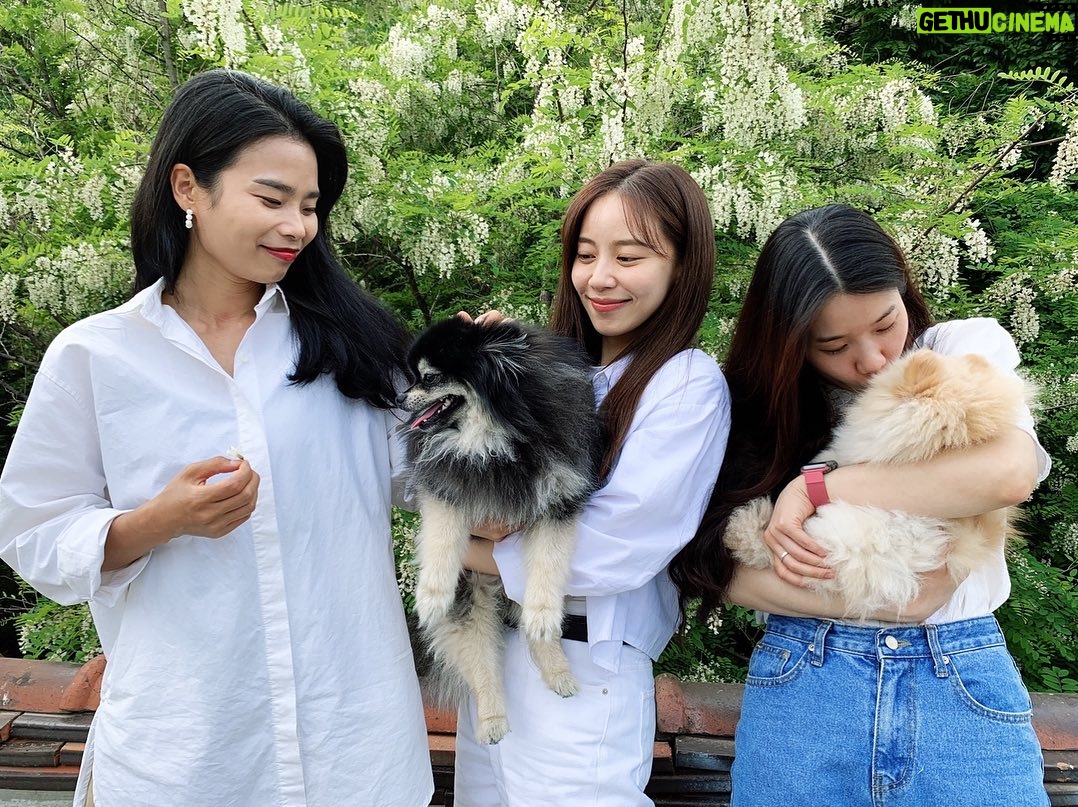 Hong Ji-hee Instagram - 또 남호오빠 덕분에 힘 얻고 가는 하루 오빠를 보면서 사랑하는 사람들은 이렇게 챙겨야 한다는 걸 배우는거 같아🤍 근데 우리 이제는 시켜먹으까? 고생 고만하고ㅠㅠ 김폼폼, 김탄탄! 엄마 아빠 말 잘듣고 임마 구염둥이들아 4시간 너무 부족했어 (나 때문에…) 또 모여 또 만나 제발