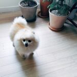Hong Ji-hee Instagram - 또 남호오빠 덕분에 힘 얻고 가는 하루 오빠를 보면서 사랑하는 사람들은 이렇게 챙겨야 한다는 걸 배우는거 같아🤍 근데 우리 이제는 시켜먹으까? 고생 고만하고ㅠㅠ 김폼폼, 김탄탄! 엄마 아빠 말 잘듣고 임마 구염둥이들아 4시간 너무 부족했어 (나 때문에…) 또 모여 또 만나 제발