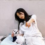 Hong Ji-hee Instagram - 세상에서 제일 사랑하는 코미 열두번째 생일 축하해 아푸지마 우리강아지