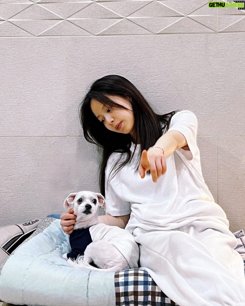 Hong Ji-hee Instagram - 세상에서 제일 사랑하는 코미 열두번째 생일 축하해 아푸지마 우리강아지