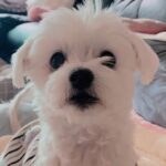 Hong Ji-hee Instagram – 말대꾸
