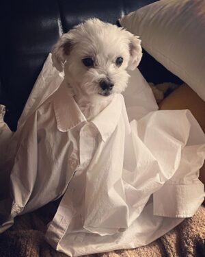Hong Ji-hee Instagram - 윽 내 심장