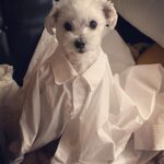 Hong Ji-hee Instagram - 윽 내 심장