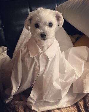 Hong Ji-hee Instagram - 윽 내 심장