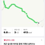 Hong Ji-hee Instagram - 관악산 등산 후 먹은 태국 음식은 감동….🥹 체력이 남네? 다음엔 어디를 가보까😎💙