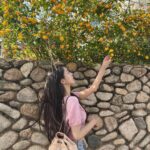 Hong Seo-hee Instagram – 🌼