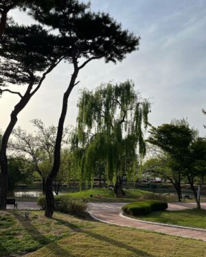 Hong Seo-hee Instagram - 🌼