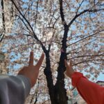 Hong Yun-hwa Instagram - 망원동은 벚꽃맛집🌸 . #망원동용사님 #망원동홍금보안관