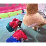 Honoka Akimoto Instagram - . 名古屋グランパス 今年ラストの鯱の大祭典でした⚽️ 惜しくも引き分けでしたが 大祭典期間はファミリーの一体感が より強く大きく感じられます🔥🔥🔥 その一員になれてとっても嬉しい♪ やぐらでのグランパス音頭も楽しかったなぁ☺️ 回を重ねるごとに踊りの輪が広がって嬉しかったです💃 #Jリーグ #名古屋グランパス #鯱の大祭典 #横浜FC #TEAMSHACHI 柚姫の分まで応援してきたよー！ ゆっくり休んでね💜 豊田スタジアム