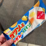 Honoka Akimoto Instagram – .
水中でかっこよく写れるポーズ
何かいいのないかな🥹？

#スキューバダイビング
#富戸
#透明度10m
#水温18度
#ほのカメラ
#ほのダイビング

今日のポイントで出会いたい生き物
全部に出会えた✨ラッキー✨

#ツマグロハタンポ 大群と一緒に泳いでスイミー気分♪
#コネコザメ 可愛いサイズ😻
#アオリイカ 産卵期で卵も🦑
#ツノザヤウミウシ 本日の目玉！31m地点にて発見
#イバラタツ 潮の流れでゆらゆら〜
#ミノカサゴ 追いかけてたら色違いの子現れた♪

安全確認しっかりとして
一日中海の中を散策してきたよ🐠
アリエルの映画観たくなった！