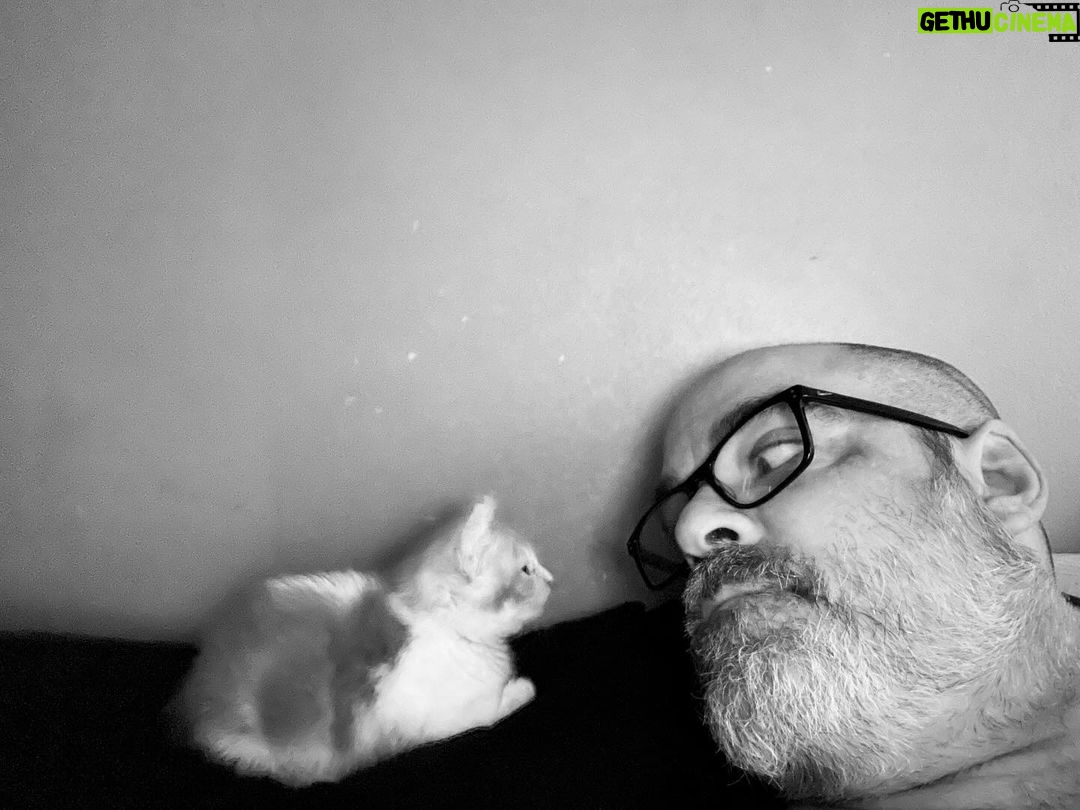 House Shoes - 304 Likes - Dove was so fresh. Still kinda gutted when I think about him but so grateful for that brief time. #dove