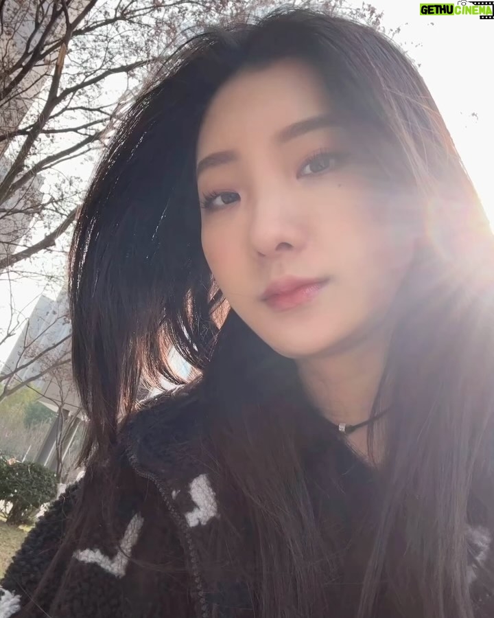 Hua Chen Instagram - 祝各位還可以收紅包的小孩紙們好好珍惜🧧🧨🧮 南京夫子廟-秦淮河畔
