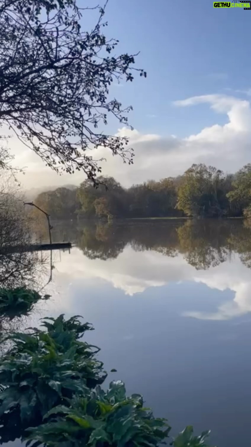 Hugh Wallace Instagram - A stunning view over the Bandon river this morning, and the birdsong was incredible. All outside @innishannonhouse Fabulous stay, super staff and great food, what more could you ask? #hotel #cork #bandon #architect #irishtourism Innishannon House Hotel