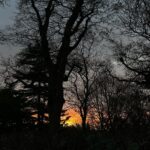 Hugh Wallace Instagram - Today traditionally marks the shortest day of the year, Winter Solstice. This day is celebrated in many ways through your history. What does it mean to you? #wintersolstice Dublin, Ireland