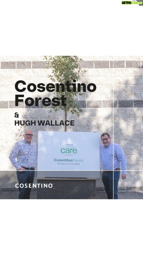 Hugh Wallace Instagram - Cosentino Forest & @hughwallacearchitect 🌱🪴🌳 The story behind the tree in Cosentino Ireland HQ. We had the great opportunity of having Hugh Wallace down to Cosentino Ireland HQ to support the planting of this mature Oak Tree as a symbol of the Cosentino Forest in our premises. The story behind the tree in Cosentino Ireland HQ is that we wanted to have a little bit of our Forest in the city. It’s a symbolic tree which reminds us at Cosentino, and everybody visiting the office, of this great initiative we are doing to offset carbon emissions in Ireland and Scotland through the reforestation of Irish Forests. Cosentino Forest is an incredible initiative to endorse our commitment to the environment and continue our quest in becoming an increasingly sustainable company. Find out more information about Cosentino’s journey to sustainability from the link in our Bio 🌱🪴🌳 @grupocosentino #CosentinoForest #weActbecauseweCare #grownforest #hughwallacearchitect #rewilding #forest #irishforest #carbonneutral #cosentinoireland #cosentinobelfast #cosentinoscotland
