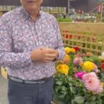 Hugh Wallace Instagram - Dahlias always remind me of my childhood. Wonderful garden centre full of beautiful plants. #garden #irishgarden Athboy Co Meath, Ireland