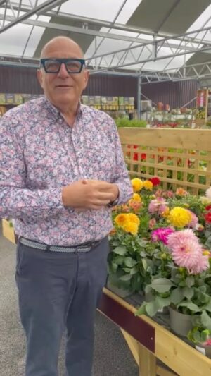 Hugh Wallace Instagram - Dahlias always remind me of my childhood. Wonderful garden centre full of beautiful plants. #garden #irishgarden
