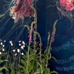 Hugh Wallace Instagram - If your at bloom this weekend pop into The Jellyfish Garden, filled with extraordinarily detailed drawings by the amazingly talented @shevaundohertyartist Marine biologist Tom will tell you all about these wonderful creatures. Do you know what a collection of jellyfish is called? 🤔 #biodiversity #jellyfish #art Bord Bia Bloom
