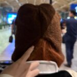Huh Yun-jin Instagram - 🐻