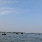 Humberto Bandenay Instagram - Mi primera experiencia en este deporte del SURF 🏄 , para ser la primera vez nada mal , en mi segunda ola 🌊 ya me estaba parando y agarrándole el timing , me gustó hacerlo así que me verán más seguido en el mar , gracias a los amigos de @high_tide_peru_surf_school , en esta oportunidad me acompañaron mis amigos de siempre @dogo89 @luis.guillermo89 !!! , deslicen para que vean los videitos 👊🏼
