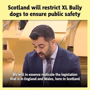 Humza Yousaf Instagram - The UK Government introduced XL Bully restrictions without consulting @scotgov.

We’ve since seen concerning reports of a flow of XL Bully dogs to Scotland.

To avoid unacceptable risks to public safety and animal welfare, we will urgently put in place new safeguards.
