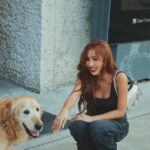 Hwasa Instagram –