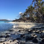 Ian Harding Instagram - Private beach on the magical Turtle Island, Fiji. #turtleisland #flyfiji @fly_fijiairways