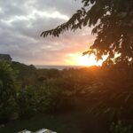 Ian Harding Instagram - Evening in the pool. #nofilter @interconfiji @fly_fijiairways #flyfiji