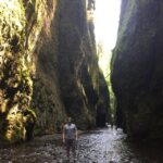 Ian Harding Instagram - Take me back. Oneanta gorge,Oregon #nofilter #getoutside #hypothermiaisfun
