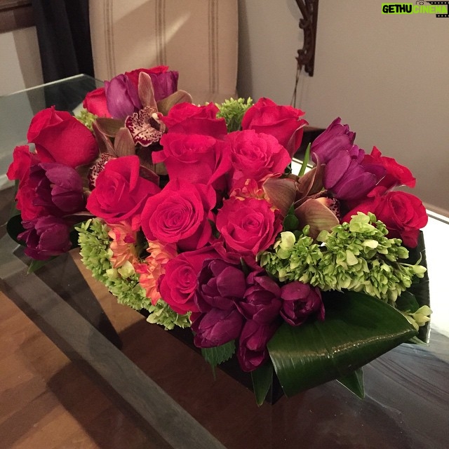 Ian Harding Instagram - Thanks @ABCFAMILY for the congratulatory flowers and thank YOU for the People's Choice award! Many thanks from the cast, crew and yours truly. #nofilter #manlyflowers