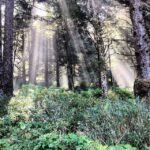Ian Harding Instagram – Way to go Oregon. #oregoncoast