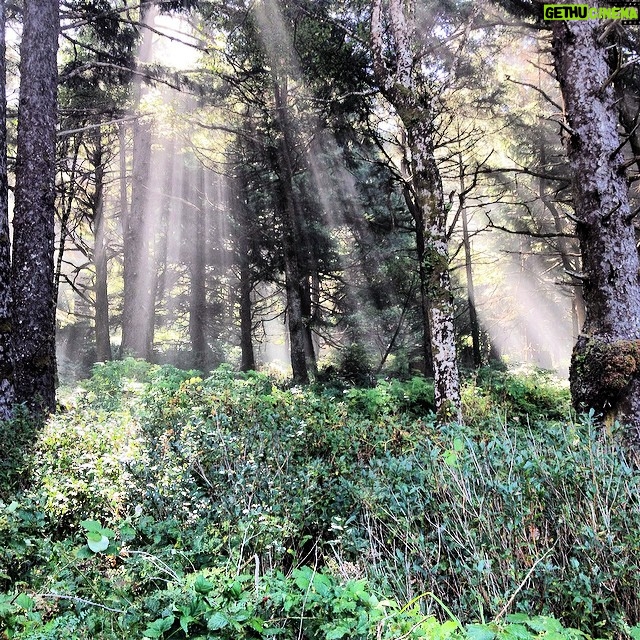 Ian Harding Instagram - Way to go Oregon. #oregoncoast