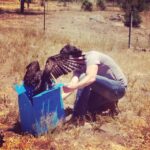 Ian Harding Instagram – In spite of what this may look like, I am NOT getting punched in the face by a Red-tailed Hawk, just releasing him back into the wild. Thanks again @humanesociety and The fund for Animals Wildlife Center, as well as the wonderful @tordevitto . I’d really appreciate if you could help me build a new Aviary for birds like this guy. Support #fundaFeather by texting ANIMALS to 20222 for a 10 dollar donation. Thanks and much love.