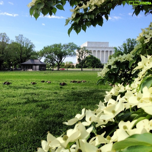 Ian Harding Instagram - Truly the most beautiful day in DC I've ever seen.