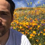 Ian Harding Instagram - Best way to get over a cold: massive amounts of pollen. #superbloom #antelopevalley #poppy #icantstopsneezing