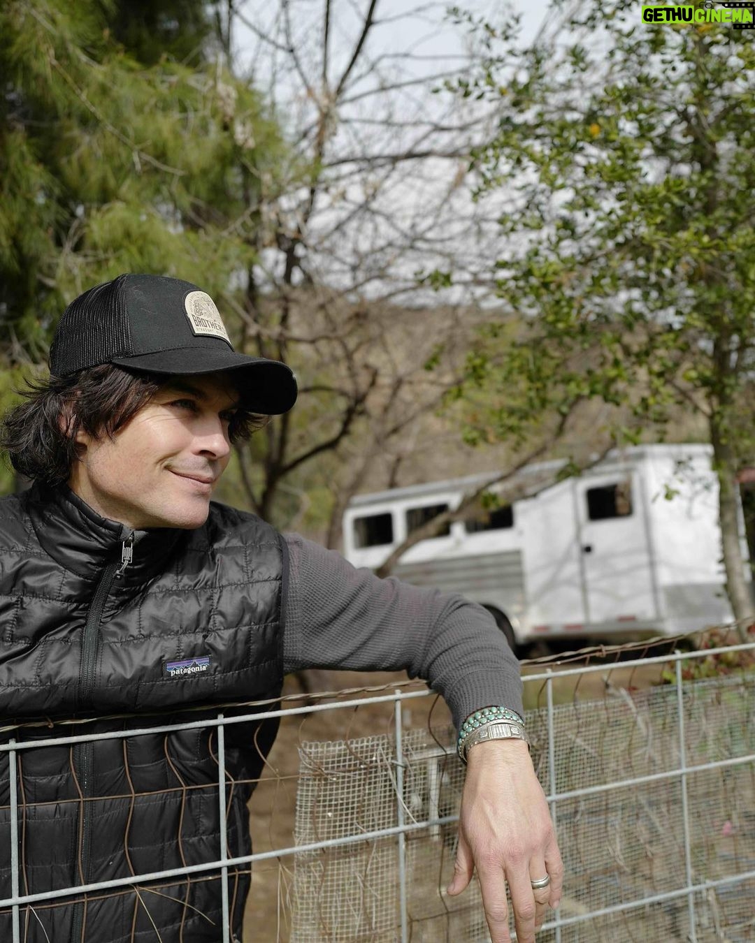 Ian Somerhalder - 1.6 Million Likes - I love this damn chicken. Her name is Cherry Bomb and she pecks me 5 times per day convinced my hands and toes are worms…
I load all babies into our beautiful @featherlitetrailers trailer and head to the farm.
Disconnect to reconnect.
Minimize to maximize.
To connect with nature recalibrates your entire being (soul included) and I can’t recommend it enough. Its imperative. Sunlight, nature, cold, heat, excersise and turning technology off are small gifts you can give to yourself, your family or your company employees. You can always check out and follow @hubermanlab and you can get the best play for your day. He’s really amazing…
Good luck out there everyone. I appreciate you all. Stay kind… 📸 by @nikkireed