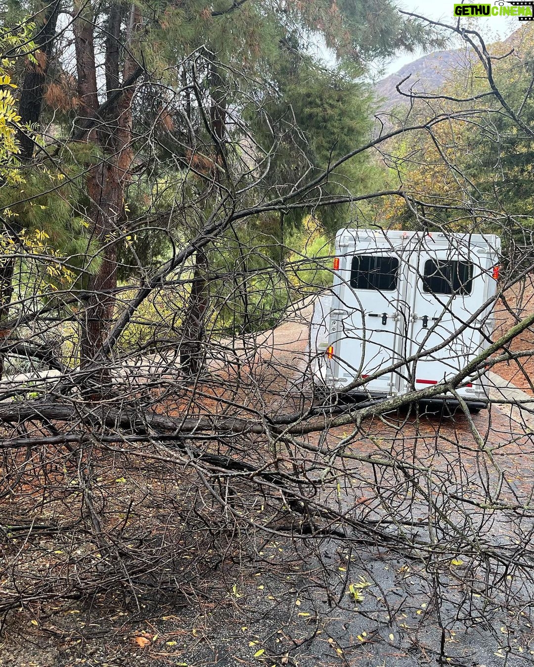 Ian Somerhalder Instagram - In the city, through wind storms and cutting our way through downed trees, our equine kids and this trailer get around. Thank you @featherlitetrailers for building this thing with us. We LOVE it! Oh and yes, I sometimes have to park like an A**hole! #farmlife